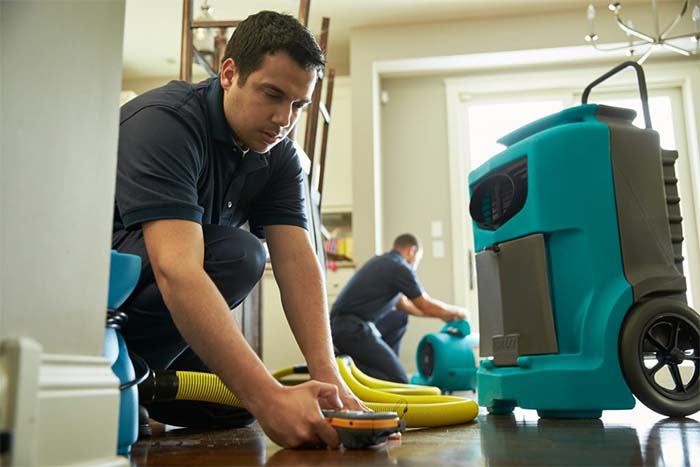 Water Damage Cleanup in Garden Grove, California (9062)