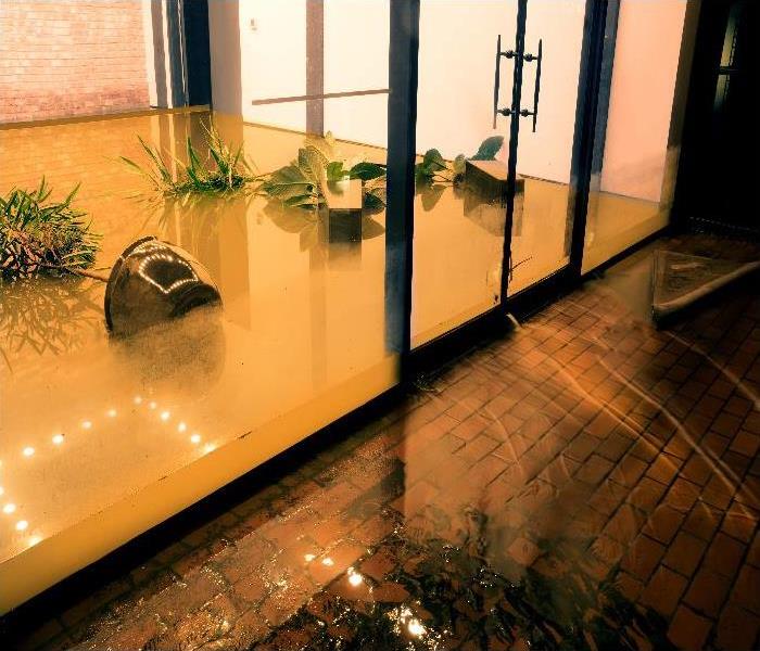 Water Damage Crawl Cleanup in Seal Beach, California (6075)