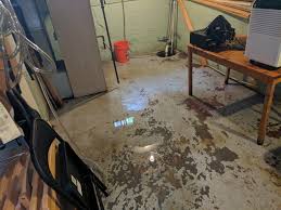 Water Damage Crawl Cleanup in Laguna Woods, California (97)