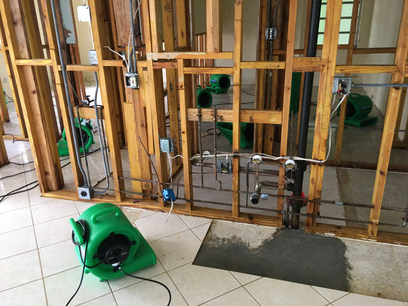 Flood Damage Restoration in Thompson's Station, Tennessee (6642)