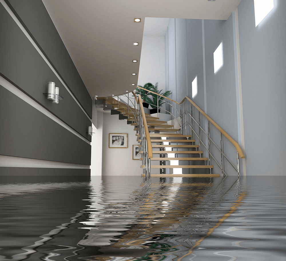 Water Damage Crawl Cleanup in Seal Beach, California (6062)