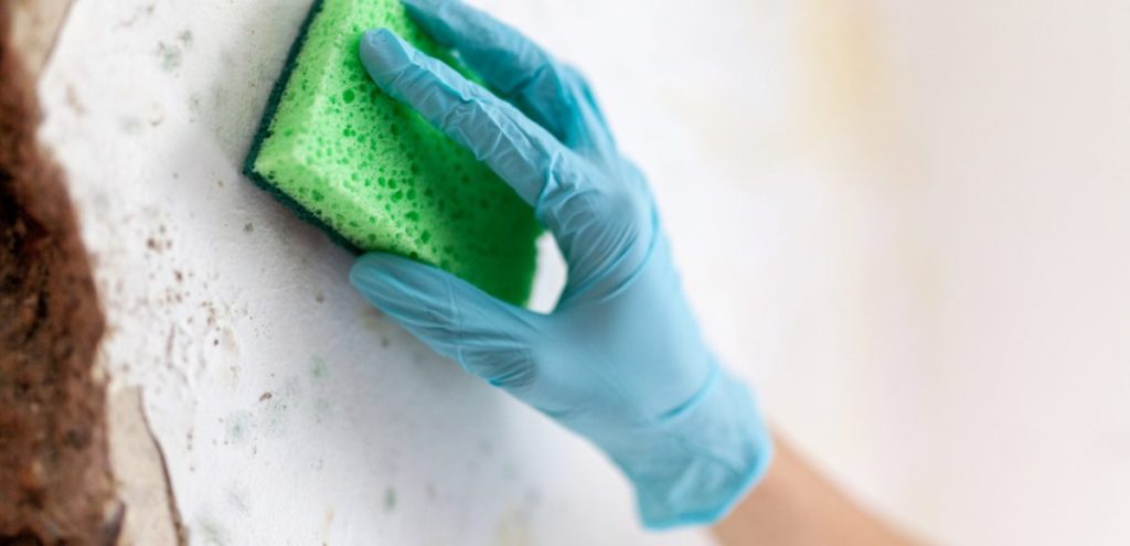 Mold Cleanup in Fountain Valley, California (7071)