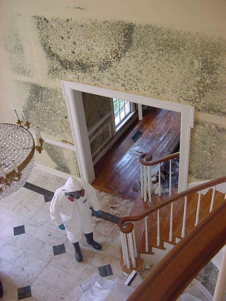 Mold Remediation in Garden Grove, California (180)